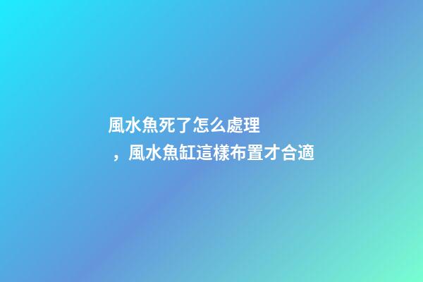 風水魚死了怎么處理，風水魚缸這樣布置才合適